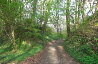 zwischen den Au�enw�llen von Hauptburg (re) und Vorburg (li) des Burgwalls Rugard