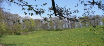 Innenfläche des Burgwalls von Garz (Gârdec)