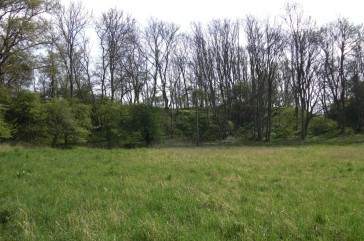 Burgwall Charenza von innen - Wallkrone