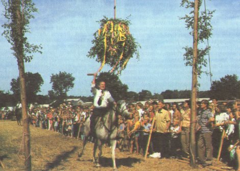 Tonnenabschlagen in Born
